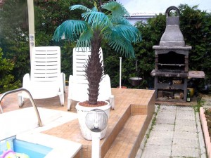 Rostilj i bazen Bazen - roštilj